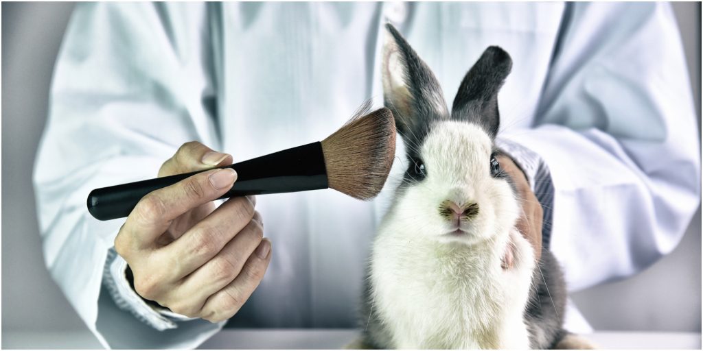 Animal Testing Ethics: An Age Old Debate In Medicine and Cosmetics 